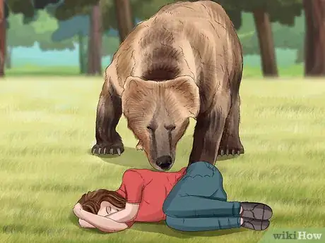 Image titled Keep Bears Away Step 24