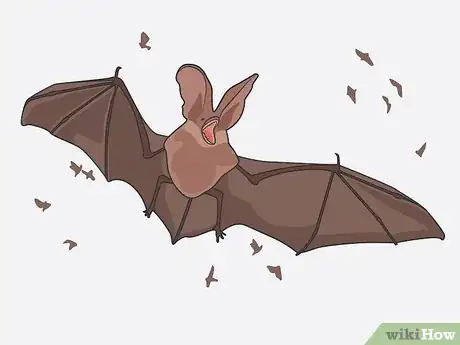 Image titled Stop the EEE Virus Step 12