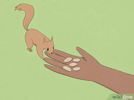 Image titled Feed a Squirrel Step 4