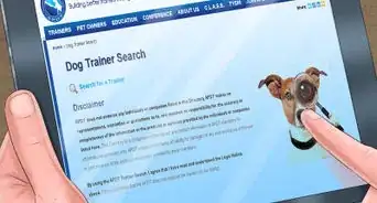 Introduce a New Dog in a Not Neutral Area