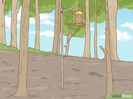 Image titled Hand Feed a Chickadee Step 4