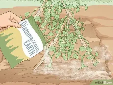 Image titled Use Organic Pesticides for Gardening Step 12