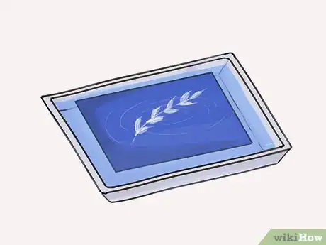 Image titled Print Photographs in the Sun Using the Classic Cyanotype Process Step 5Bullet2