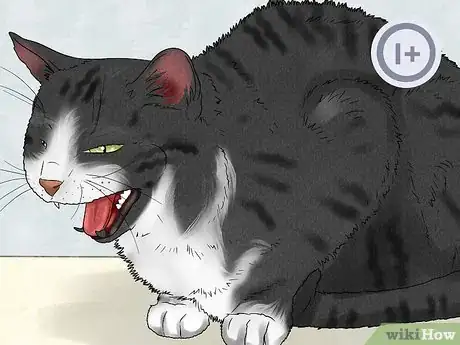 Image titled Spot and Treat Feline Asthma Step 2