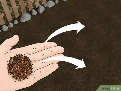 Image titled Grow Wildflowers Step 10