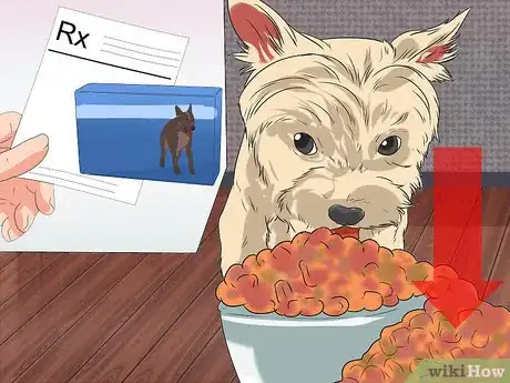 Image titled Diagnose Portosystemic Shunts in Yorkshire Terriers Step 8