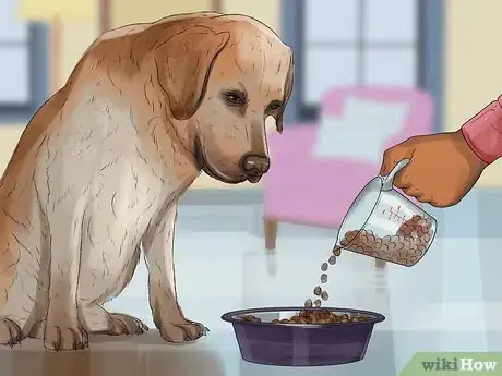 Image titled Treat Canine Incontinence Step 5