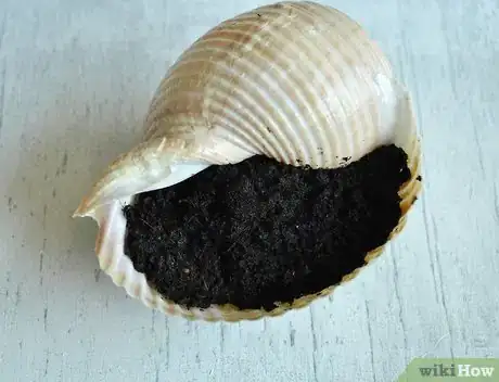 Image titled Make a Seashell Planter Step 8