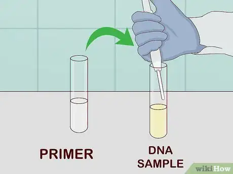 Image titled Determine Genotype Step 7
