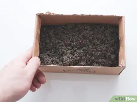 Image titled Store Radishes Step 11