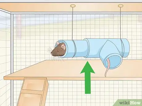 Image titled Provide Hiding Places for a Pet Rat Step 5