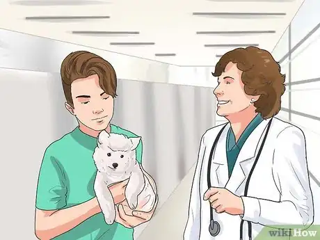 Image titled Diagnose Adrenal Gland Disease in Pomeranians Step 7