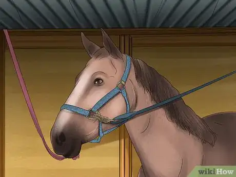 Image titled Tie up a Horse Step 11