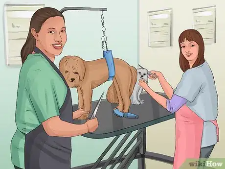 Image titled Start a Mobile Pet Grooming Service Step 2