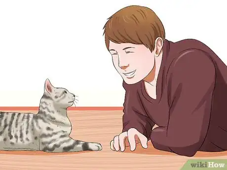 Image titled Care for Egyptian Maus Step 14