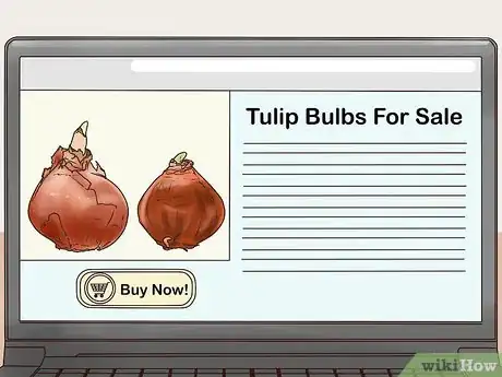 Image titled Get Tulip Bulbs Step 6