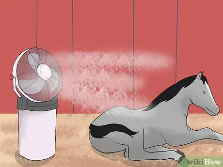Image titled Take Care of a Horse in Hot Weather Step 11