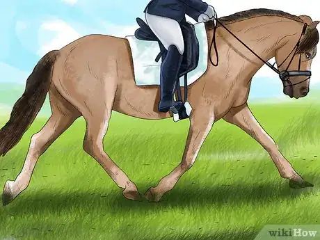 Image titled Ride an Icelandic Horse Step 5