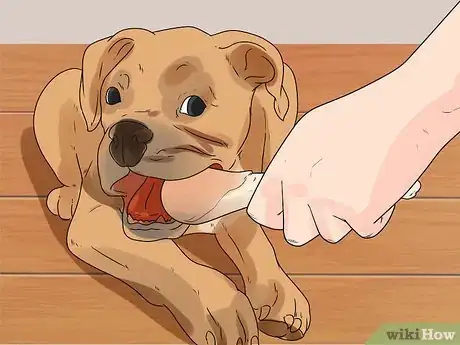 Image titled Care for Your Gun Dog Step 10