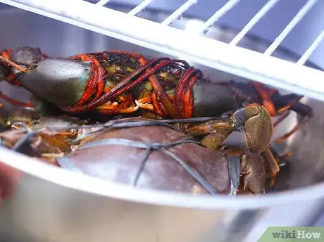 Image titled Prepare Crabs Step 7