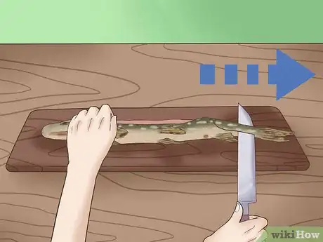 Image titled Clean and Fillet a Northern Pike Step 14