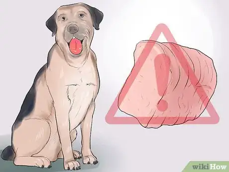 Image titled Avoid Foods Dangerous for Your Dog Step 14