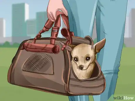 Image titled Tell if Your Dog Is Having a Medical Emergency Step 22