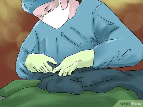 Image titled Treat Chronic Vomiting in Cats Step 14