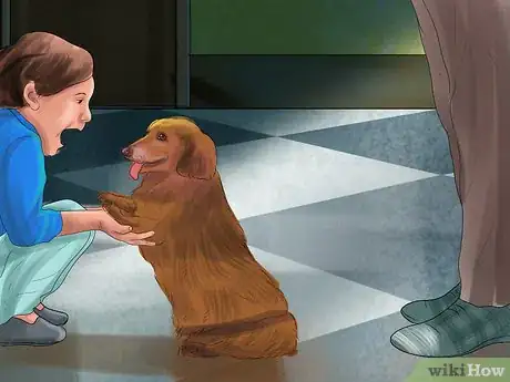 Image titled Keep Toy Breed Dogs Safe Around Kids Step 1