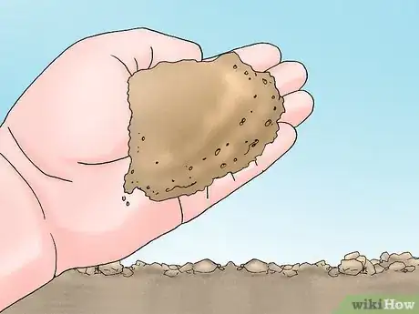 Image titled Grow Deadly Monkshood Step 2