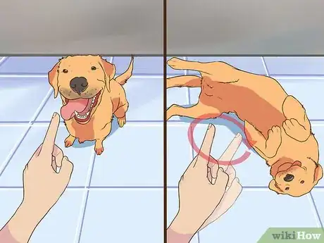 Image titled Have Fun with Your Dog Indoors Step 8