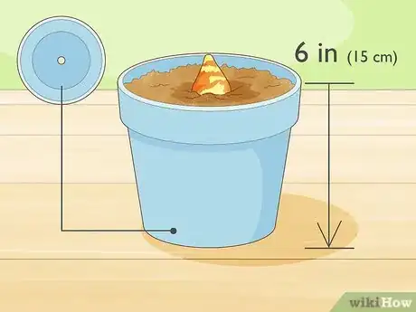 Image titled Plant Spider Lily Bulbs Step 3