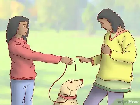 Image titled Evaluate Your Reasons for Wanting a Dog Step 17