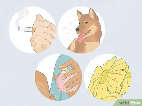 Image titled Use Essential Oils for Asthma Step 15