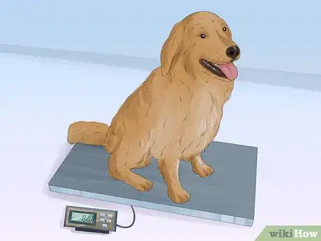 Image titled Figure out Dog Years Step 3