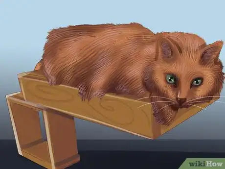 Image titled Treat Behavior Problems in Older Cats Step 6