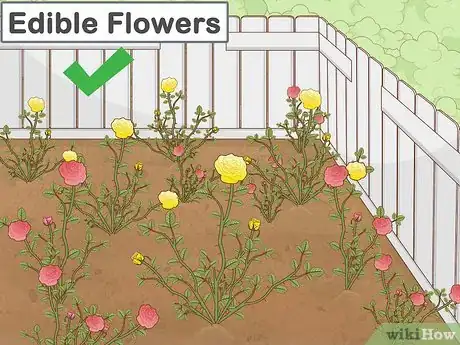 Image titled Garden when You Have a Dog Step 1