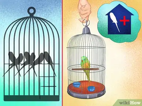 Image titled Prevent Infections in Parakeets Step 10