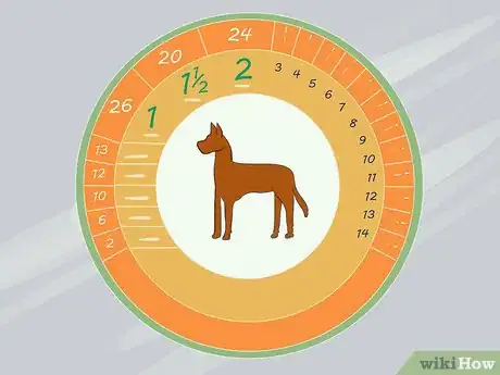 Image titled Figure out Dog Years Step 6