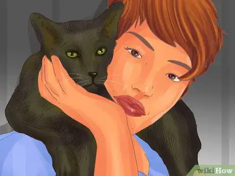 Image titled Help Your Cat Age Well Step 7