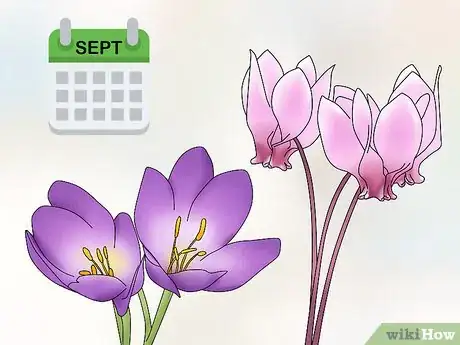 Image titled Make a Bulb Garden Step 11