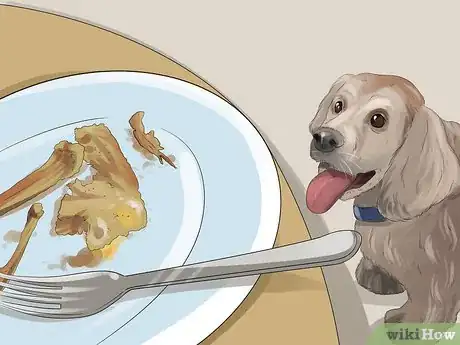 Image titled Figure out Dog Years Step 9