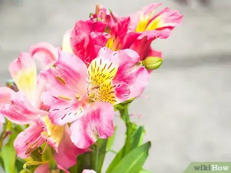 Image titled Make a Bouquet Step 19