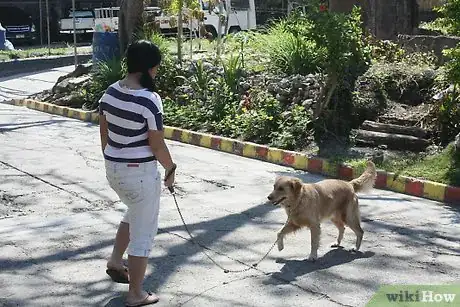Image titled Lead Train a Dog or Puppy Step 3