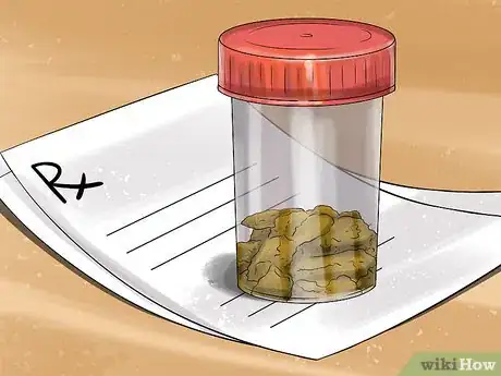 Image titled Prepare Your Dog for the Vet Step 8