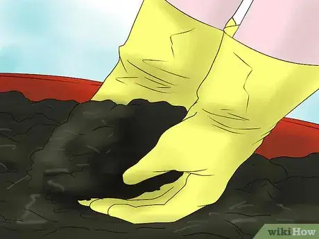 Image titled Keep Narcissus Bulbs After Flowering Step 11