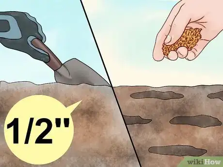 Image titled Plant Switchgrass Step 8