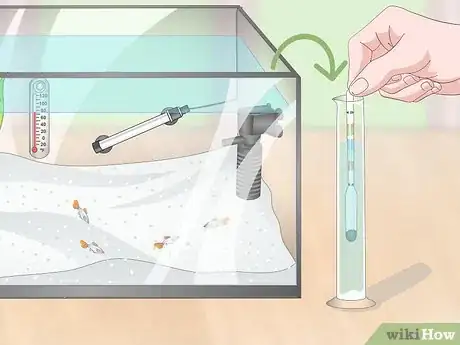 Image titled Prevent Fish From Getting Sick Step 5