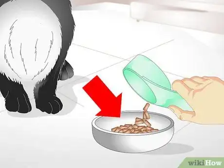 Image titled Keep Your Rabbit Slim Step 10