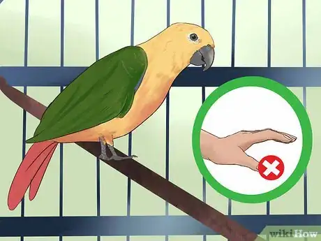Image titled Teach a Conure to Talk Step 2